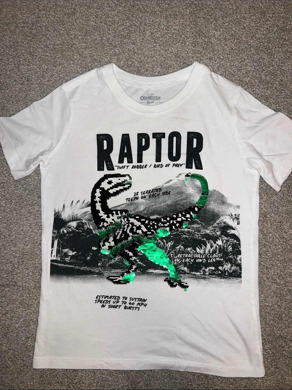 Boys green item bundle - OshKosh Raptor Flip Sequin Tee and Cat & Jack Sweater 🦖